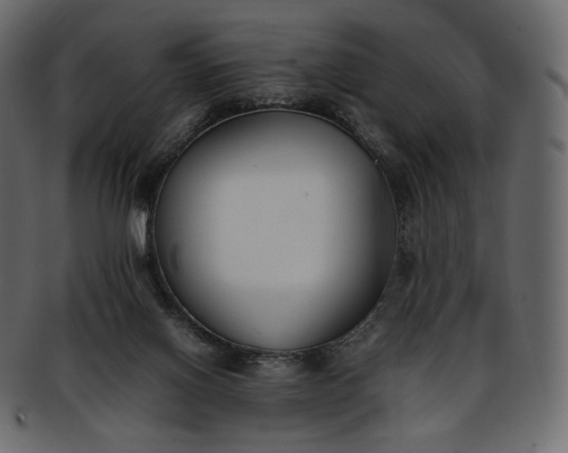 X0000093390070200710191202