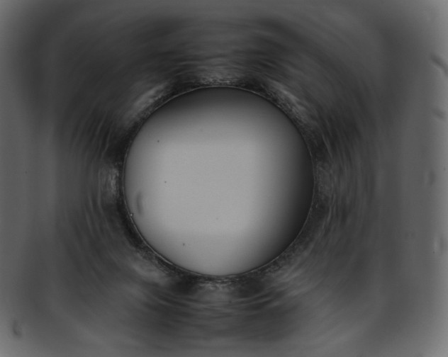 X0000093390071200710191202