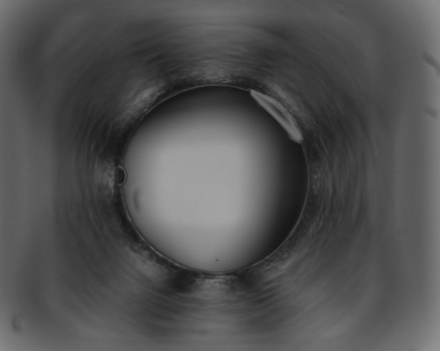 X0000093390072200710191202