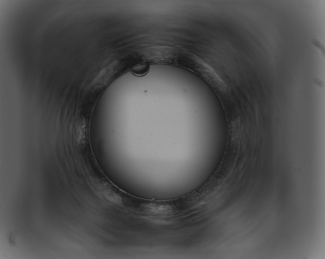 X0000093390073200710191202