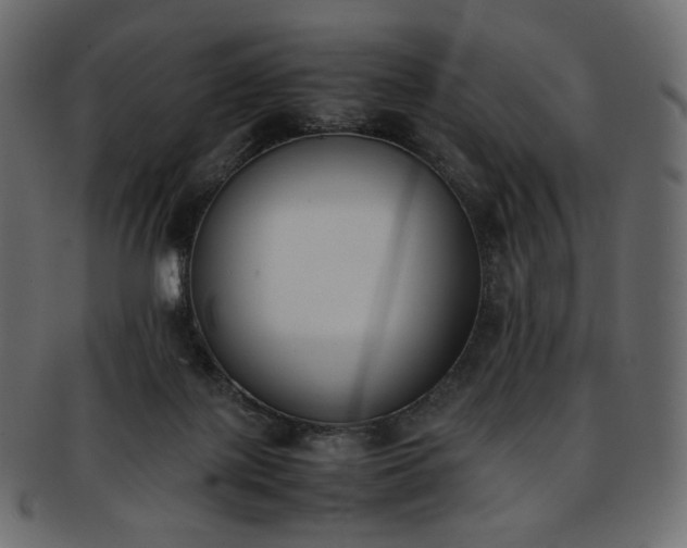 X0000093390075200710191202