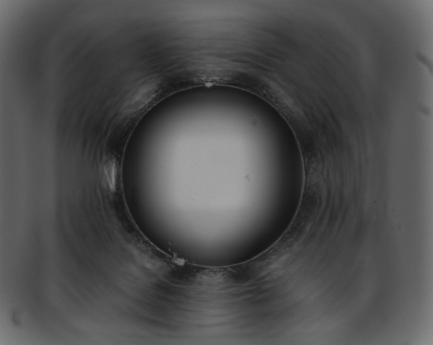 X0000093390076200710191202