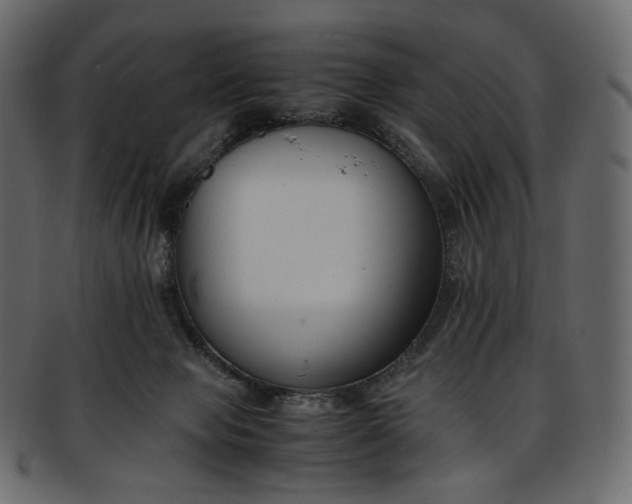 X0000093390077200710191202