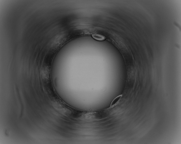 X0000093390078200710191202