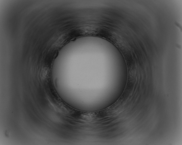 X0000093390079200710191202