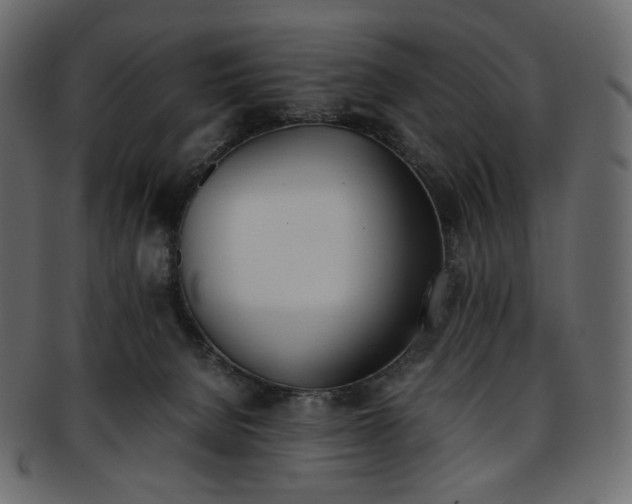 X0000093390080200710191202