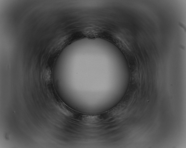 X0000093390081200710191202