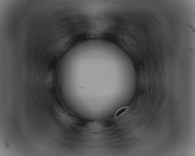 X0000093390082200710191202