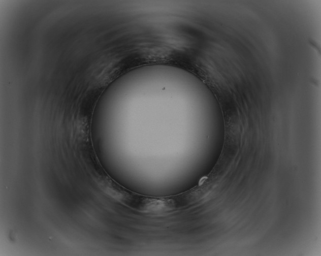 X0000093390083200710191202