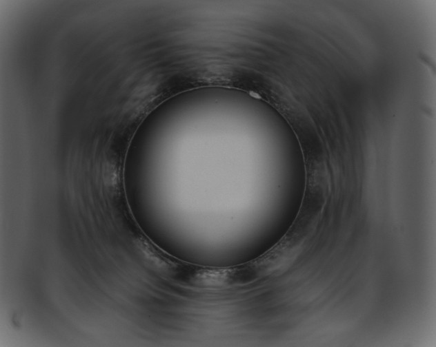 X0000093390084200710191202