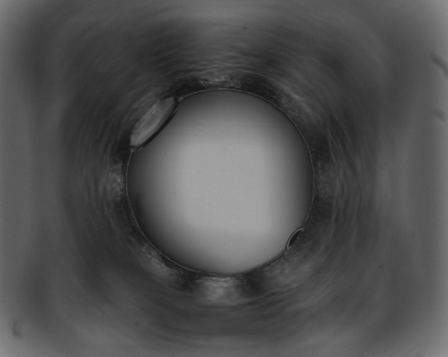 X0000093390085200710191202