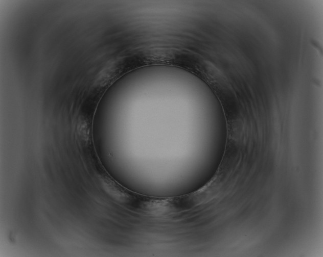 X0000093390086200710191202