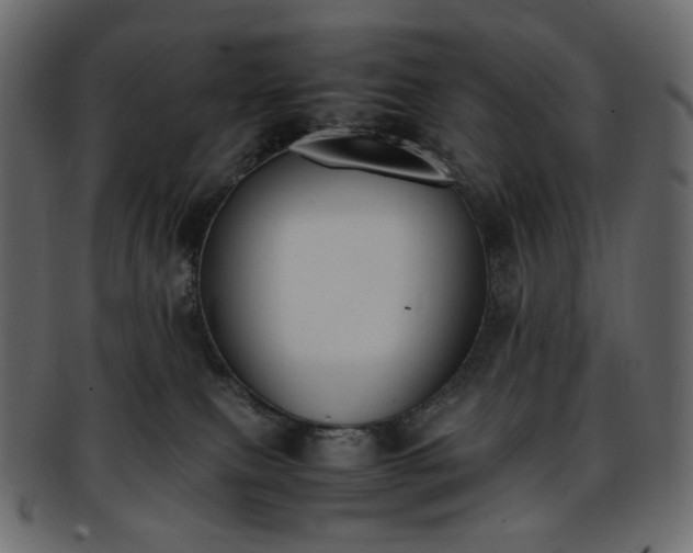 X0000093390087200710191202