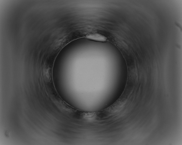 X0000093390088200710191202