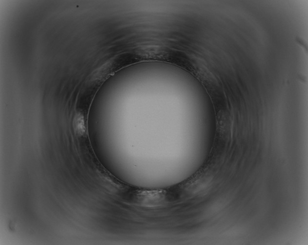 X0000093390089200710191202