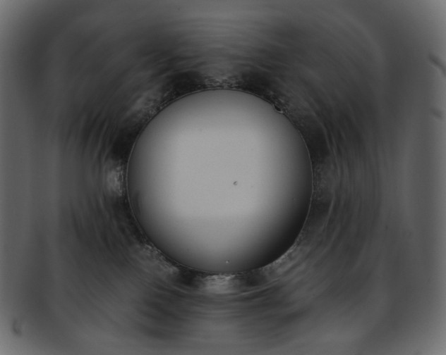 X0000093390090200710191202