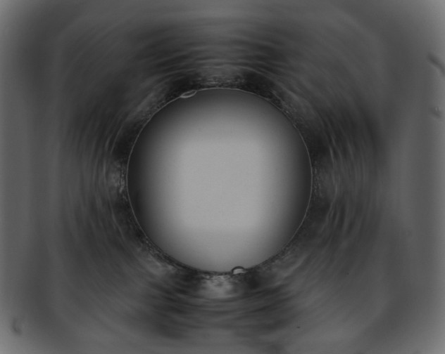 X0000093390091200710191202