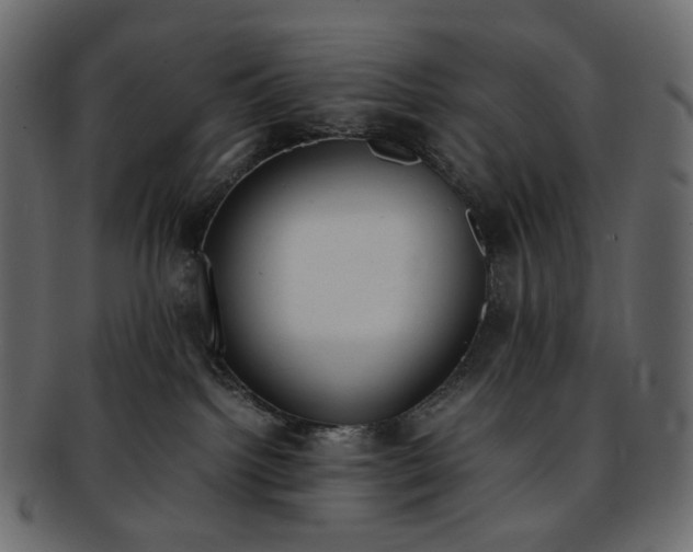 X0000093390092200710191202