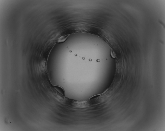 X0000093390093200710191202