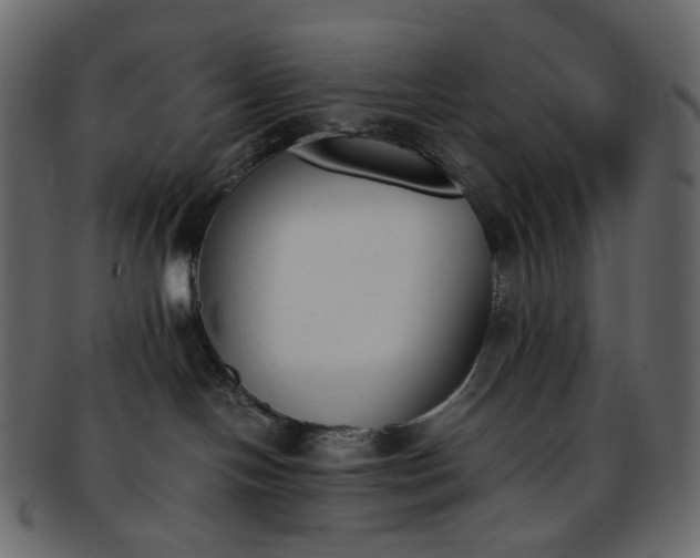 X0000093390094200710191202