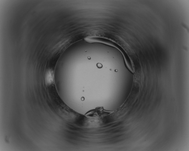 X0000093390095200710191202