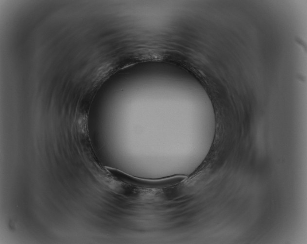 X0000093390096200710191202