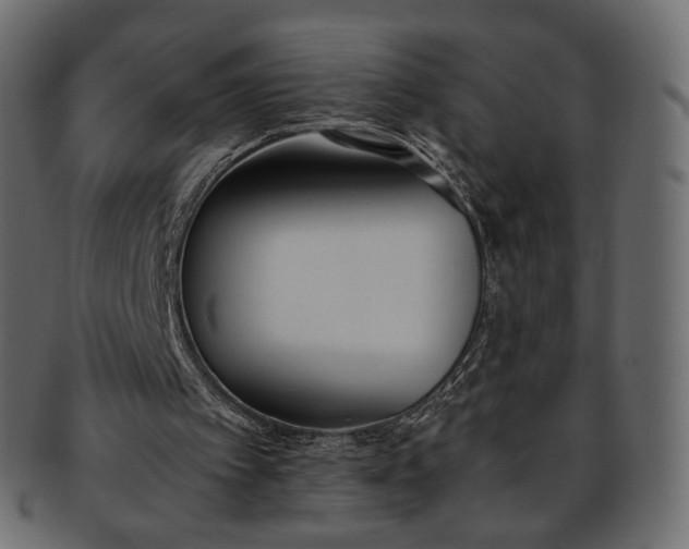 X0000093390097200710191201