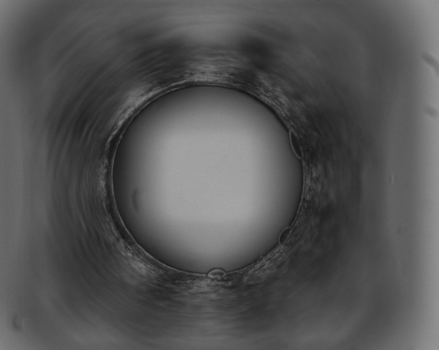 X0000093390098200710191201