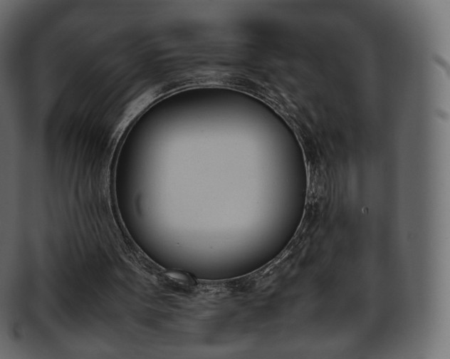 X0000093390099200710191201