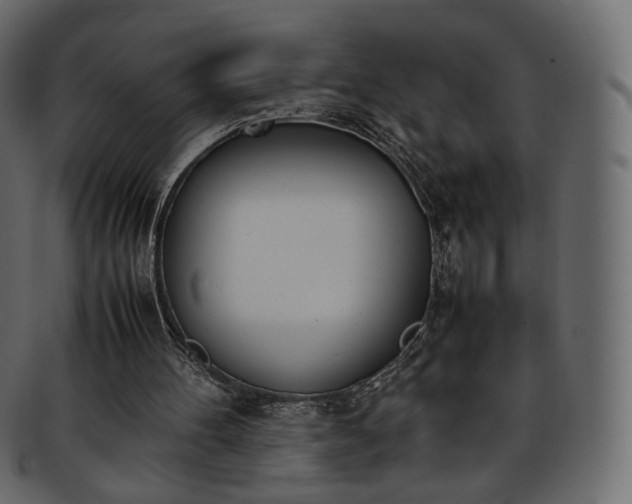 X0000093390100200710191201