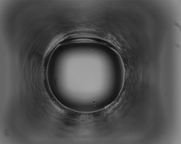 X0000093390101200710191201