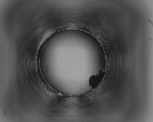 X0000093390102200710191201