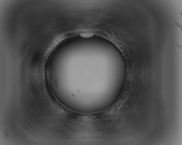 X0000093390103200710191201