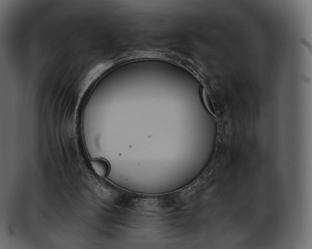 X0000093390104200710191201