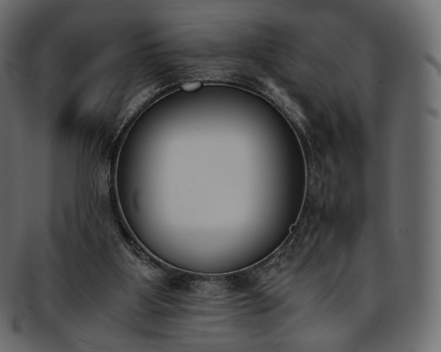 X0000093390107200710191201