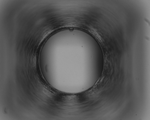 X0000093390108200710191201