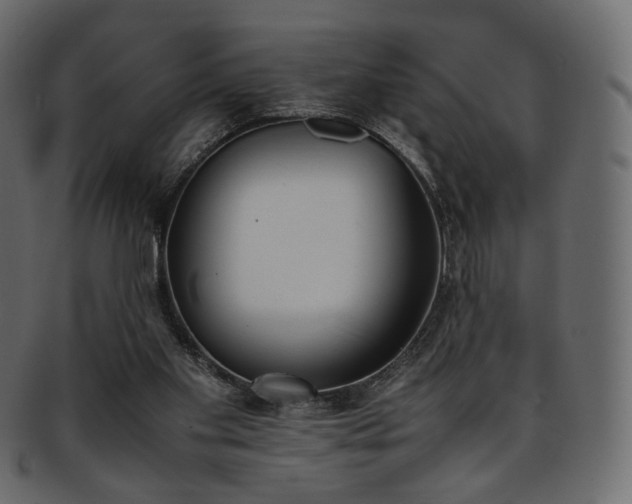 X0000093390109200710191201