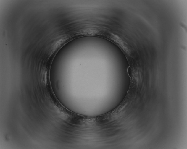 X0000093390110200710191201