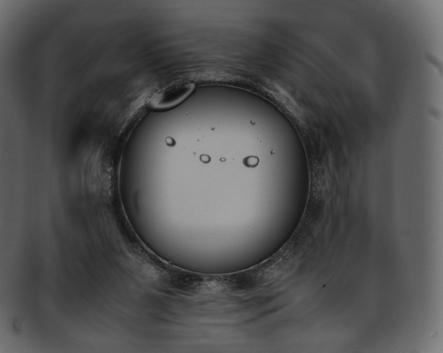 X0000093390111200710191201