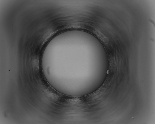 X0000093390112200710191201