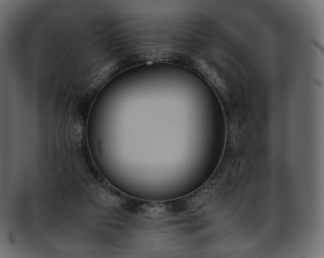 X0000093390113200710191201