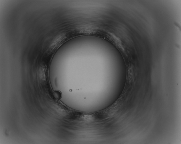 X0000093390114200710191201