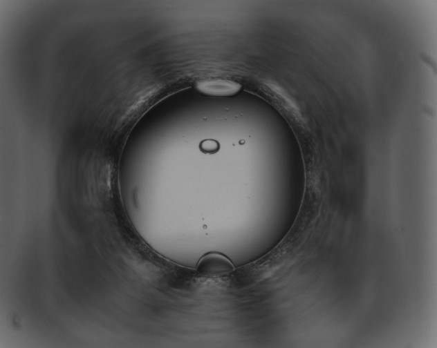 X0000093390115200710191201