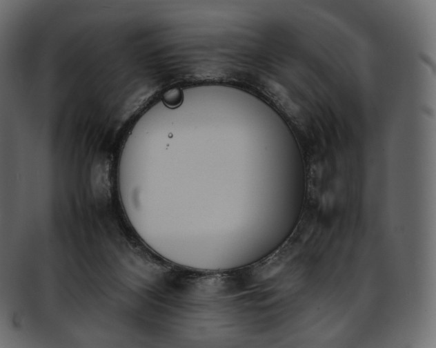 X0000093390116200710191201