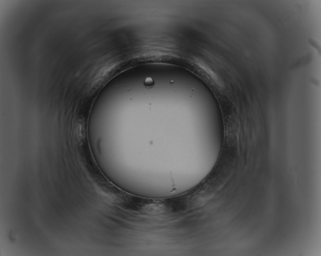 X0000093390119200710191201