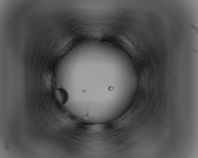 X0000093390122200710191201