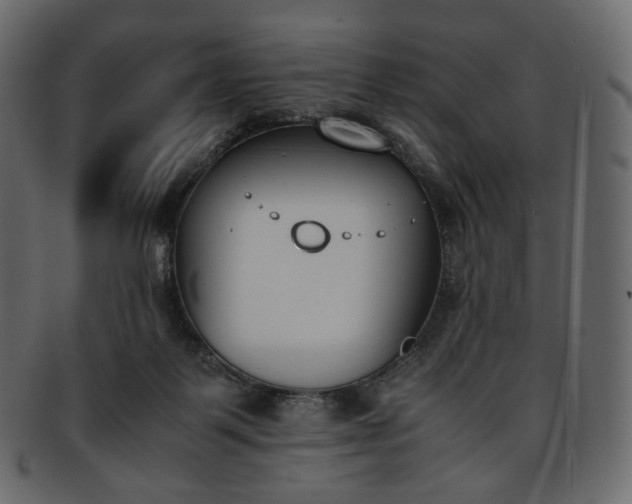 X0000093390123200710191201