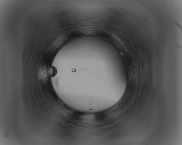 X0000093390124200710191201