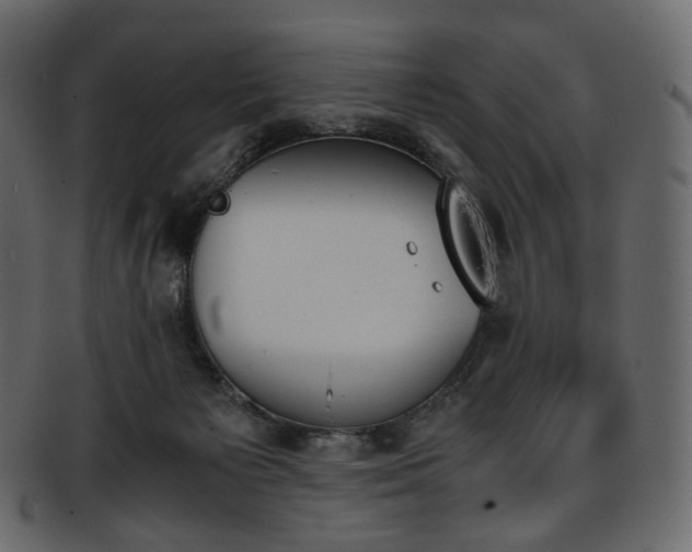 X0000093390125200710191201