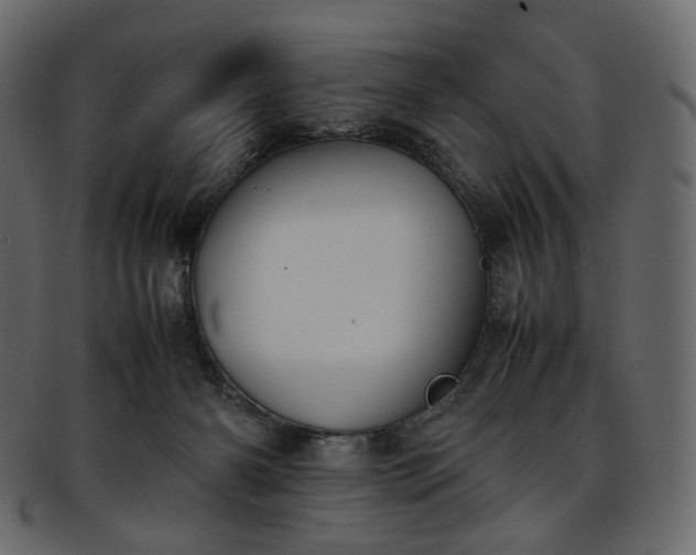 X0000093390126200710191201